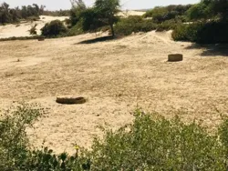 Verger de 45 Hectares à Darou Khoudoss