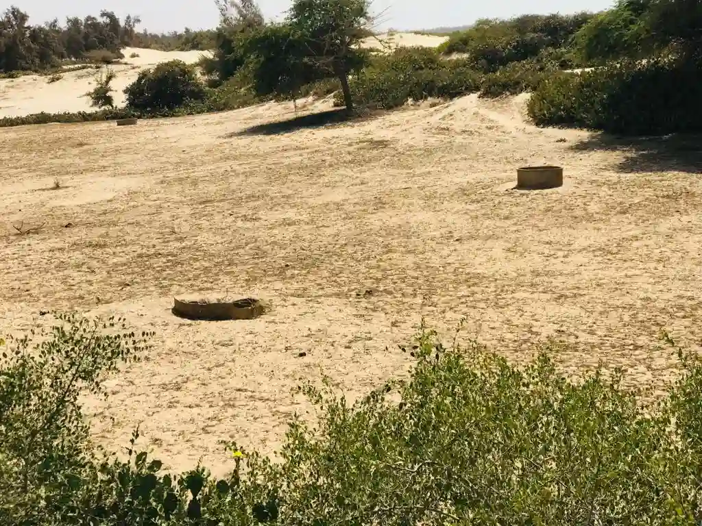 Verger de 45 Hectares à Darou Khoudoss0