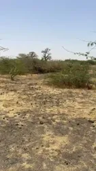 Terrains de 300 Mètres Carrés à Vendre à Ngué à Mbour