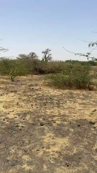 Terrains de 300 Mètres Carrés à Vendre à Ngué à Mbour0