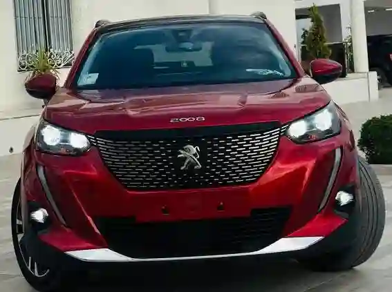 Peugeot 2008 Année 20200