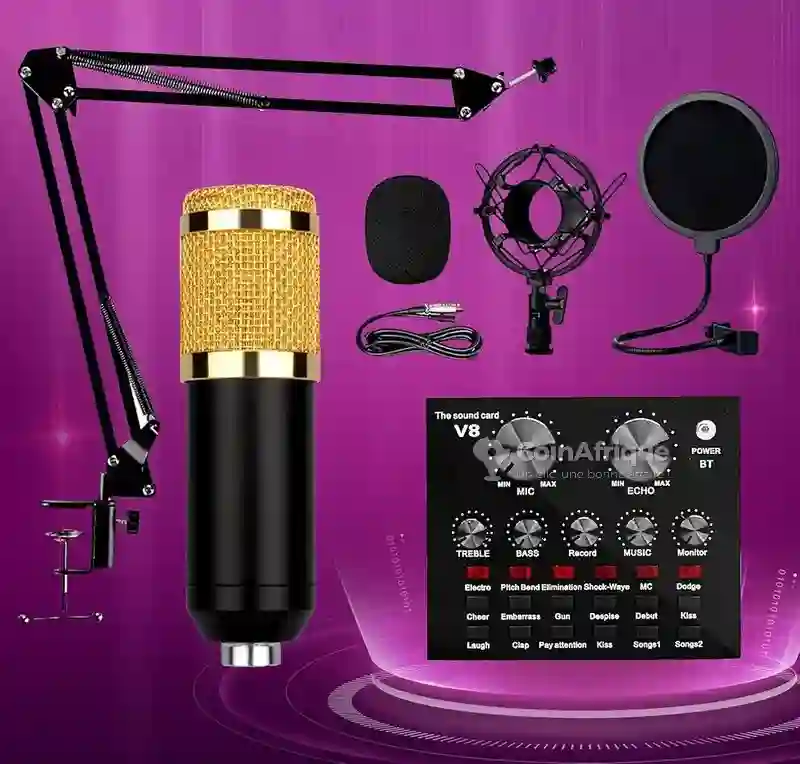 Condensateur Musique Microphone D'enregistrement0