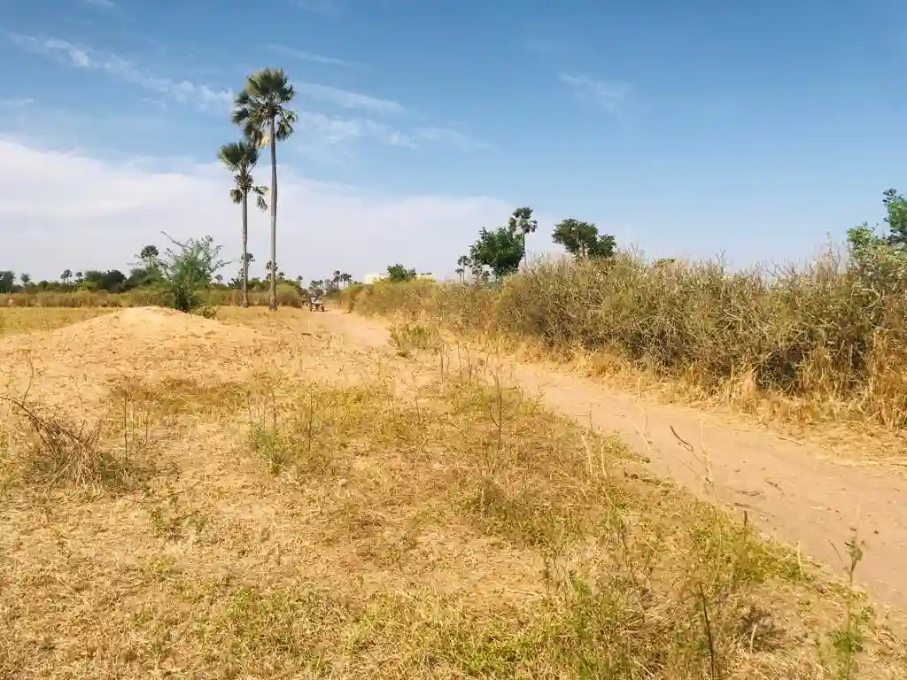 Terrain de 4013 m² Vers Nguéniène - Vue 2