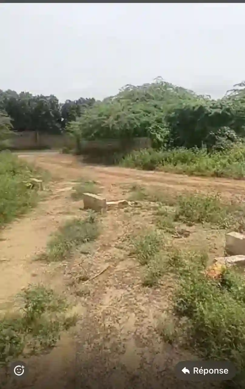 Terrain de 1000 Mètres Carrés à Vendre à Toubab Dialaw Sénégal - Vue 1