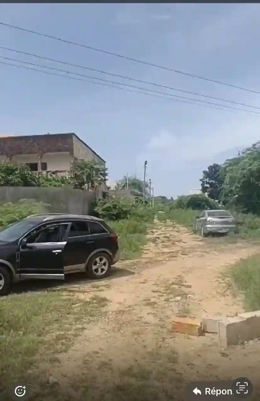 Terrain de 1000 Mètres Carrés à Vendre à Toubab Dialaw Sénégal - Vue 2