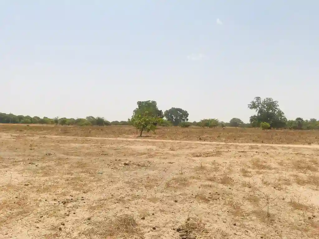 Terrain de 104 Hectare Vers Diossong - Vue 1