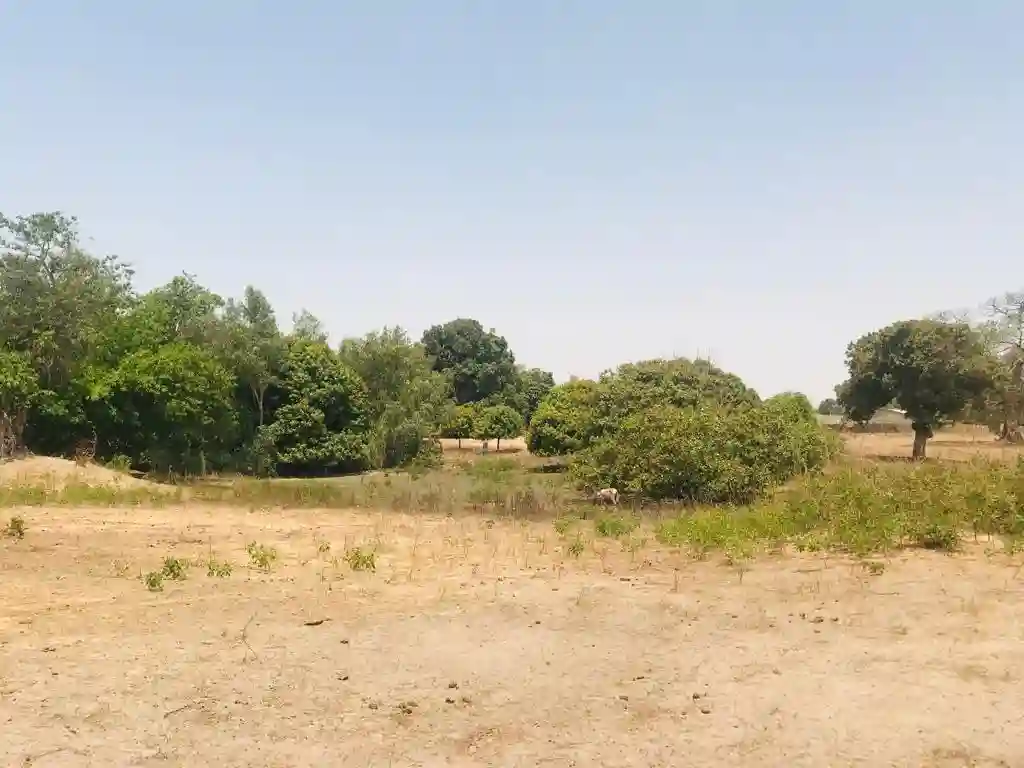 Terrain de 104 Hectare Vers Diossong - Vue 2