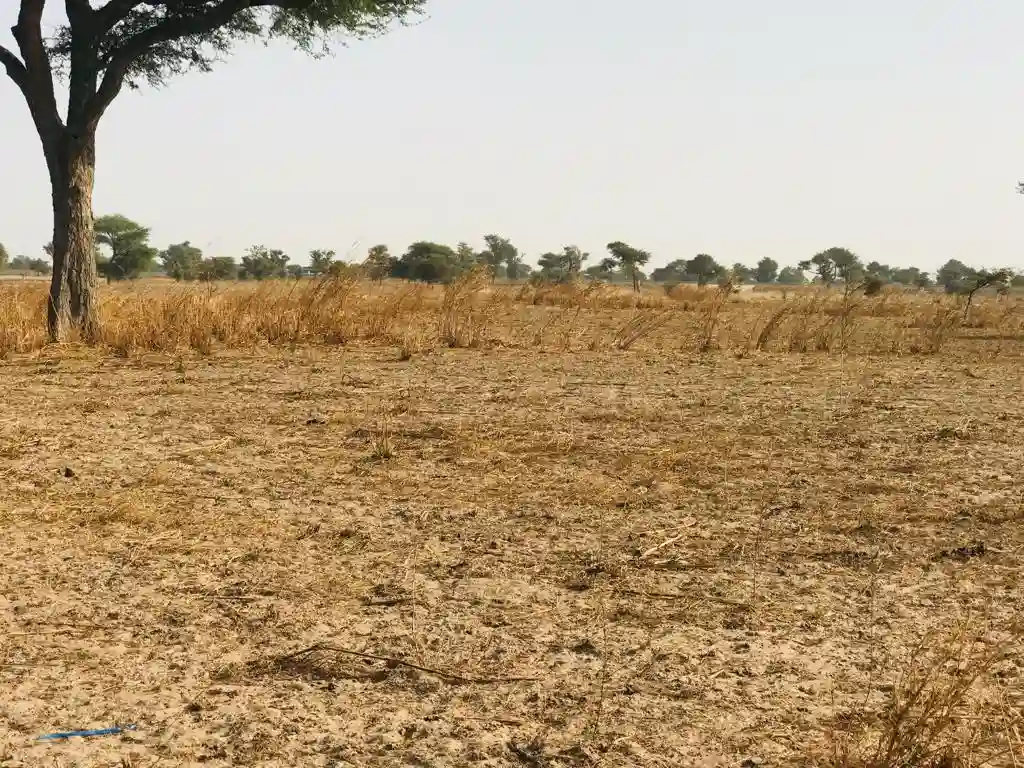 Terrain de 8098 m² Vers Touba Toul - Vue 1