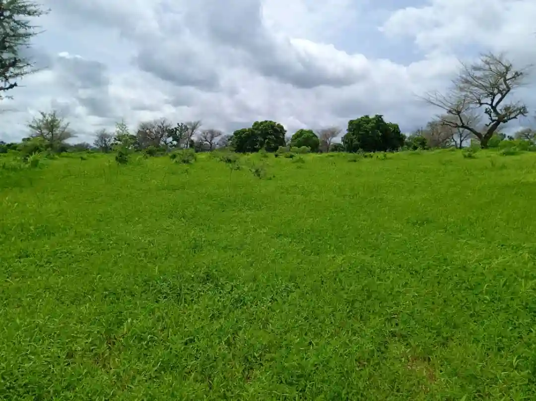 Terrain de 8579 m² Vers Notto Diobass - Vue 2