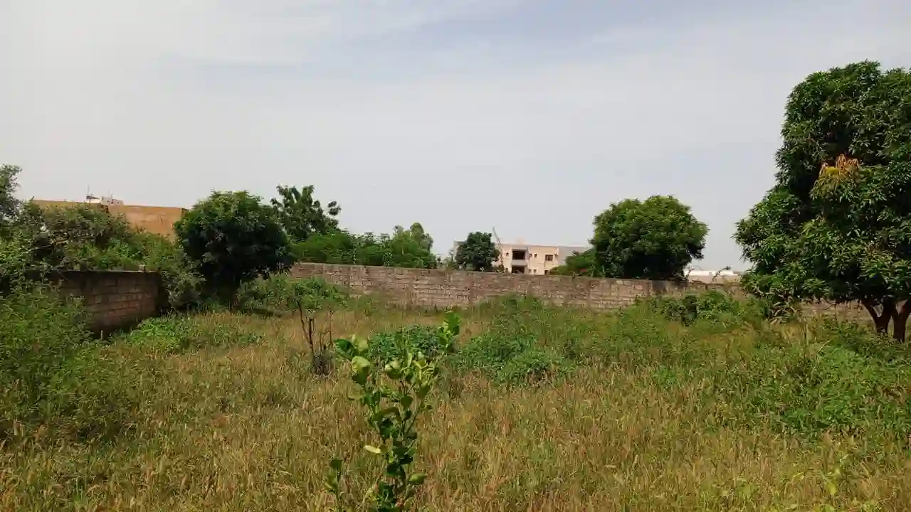 Terrain de 600 Mètres Carrés à Vendre à Saly Sénégal0