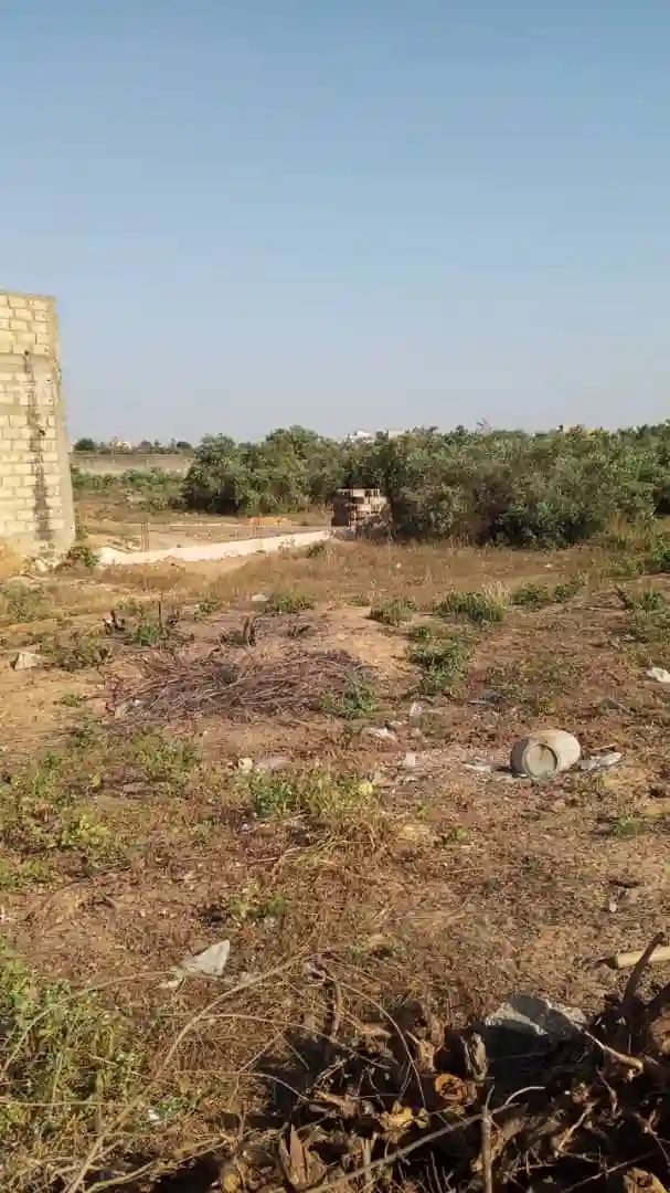 Terrain de 250 Mètres Carrés à Vendre à Gandigal Sénégal - Vue 2
