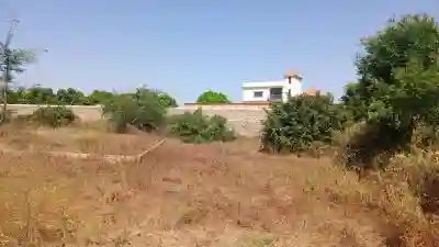 Terrain 450 Mètres Carrés à Vendre à Saly Sén à Thies - Vue 1
