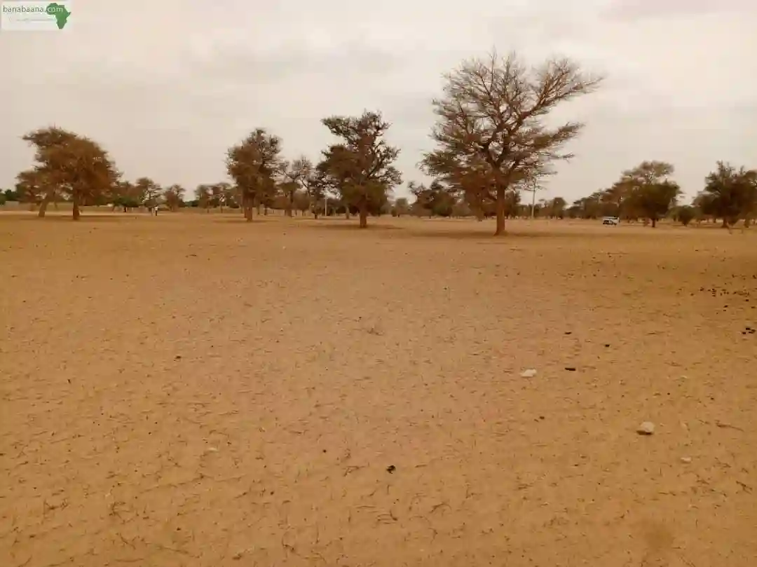 Terrain de 7130 m² Vers Touba Toul - Vue 2