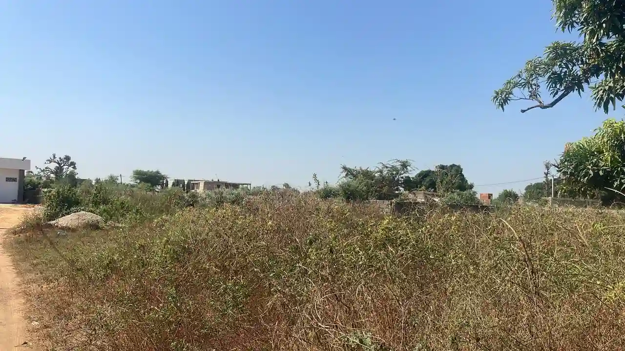Terrain de 300 Mètres Carrés à Vendre à Ndiourokh Sénégal - Vue 1