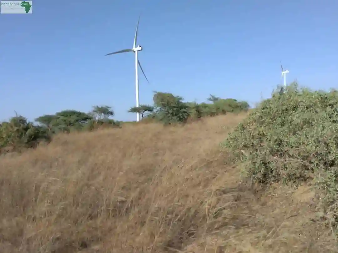 Terrain de 9706 m² Vers Taïba Ndiaye - Vue 1