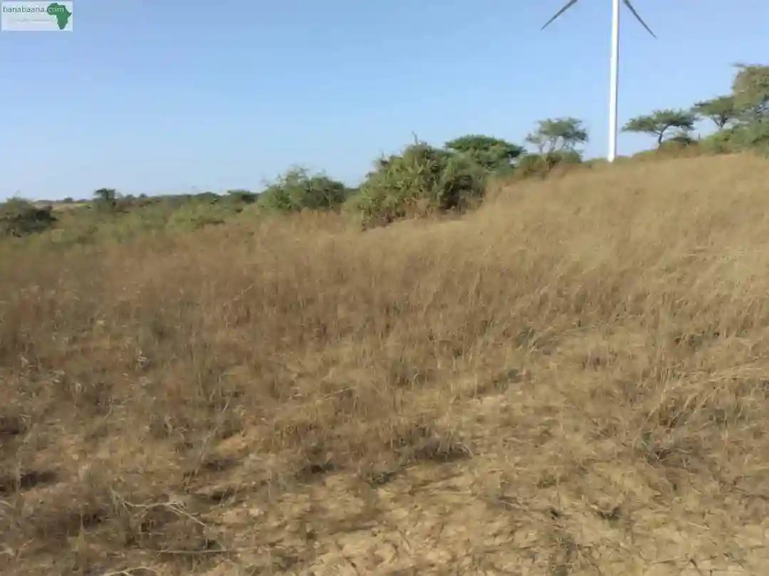Terrain de 9706 m² Vers Taïba Ndiaye - Vue 2