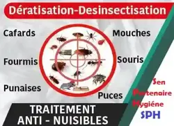 Désinsectisation-dératisation-déreptilisation