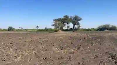 Champ de 2 Hectares à Vendre à Mbodiène Séné à Thies0