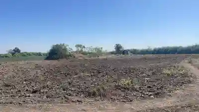 Champ de 2 Hectares à Vendre à Mbodiène Séné à Thies - Vue 1