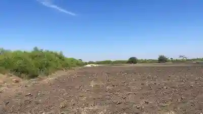 Champ de 2 Hectares à Vendre à Mbodiène Séné à Thies - Vue 2