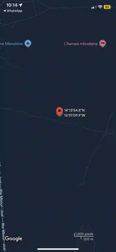 Champ de 2 Hectares à Vendre à Mbodiène Séné à Thies - Vue 3