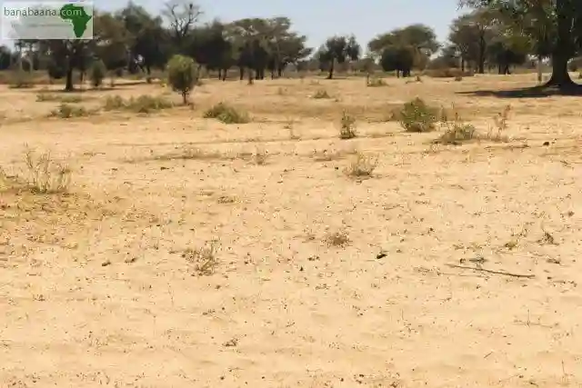 Terrain de 15 Hectare Vers Ngoundiane - Vue 1