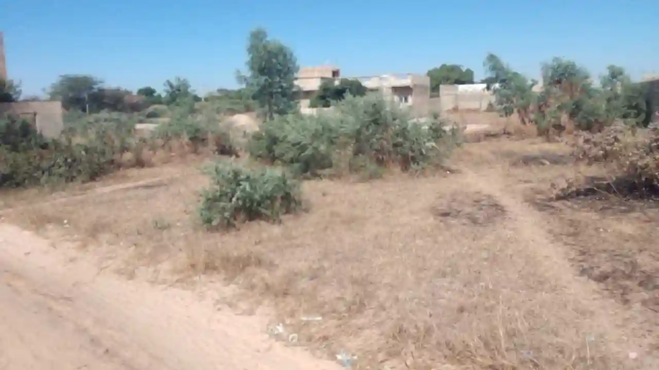 Terrain de 300 Mètres Carrés à Vendre à Malicounda Sénégal - Vue 2
