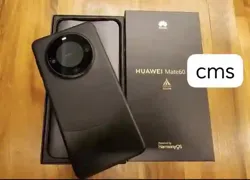 Huawei Mate 60 512giga