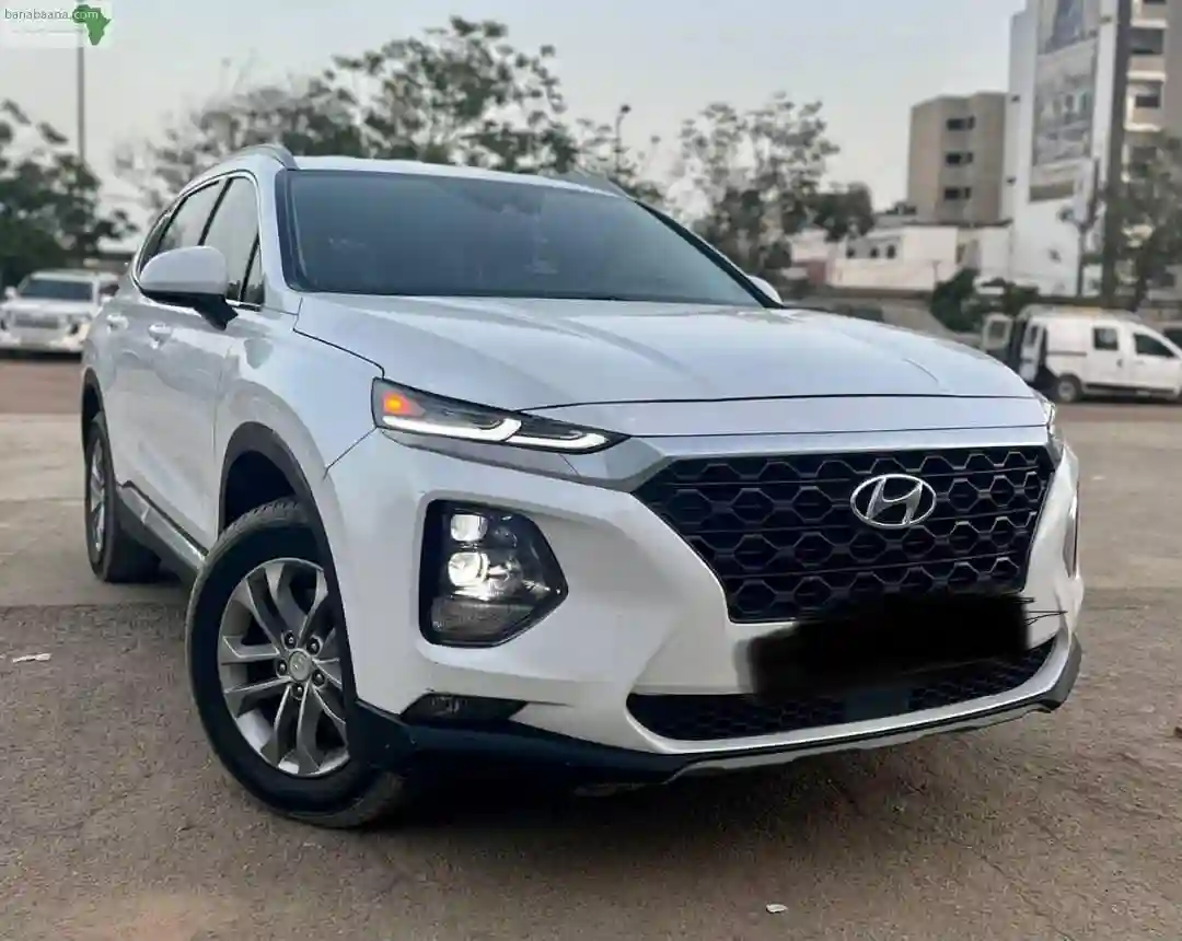 Hyundai Santafé Année 2020 - Vue 4