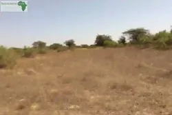 Terrain de 17 Hectares Vers Keur Samba Kane