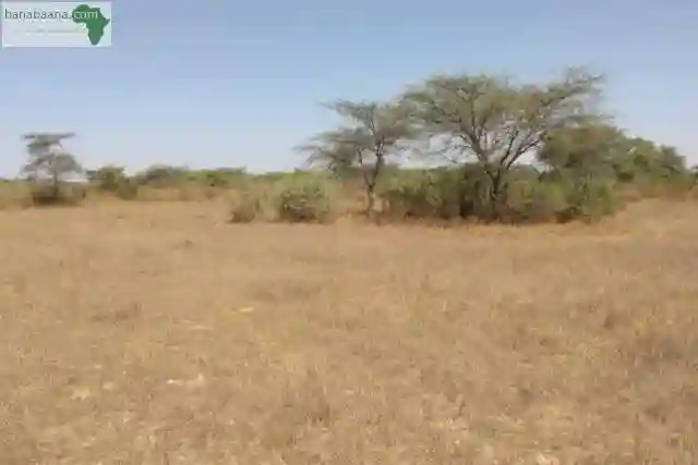 Terrain de 17 Hectares Vers Keur Samba Kane - Vue 1