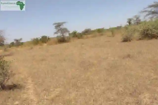 Terrain de 17 Hectares Vers Keur Samba Kane - Vue 2