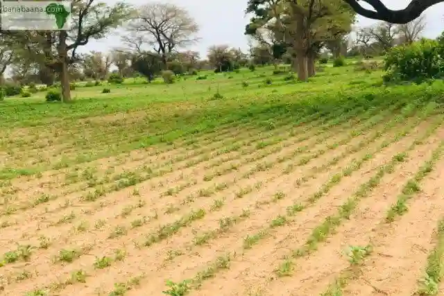 Terrain de 179 Hectare Vers Tassette - Vue 1