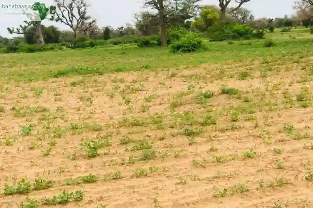 Terrain de 179 Hectare Vers Tassette - Vue 2