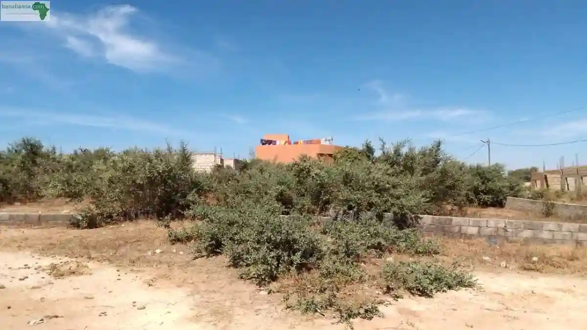 Terrains de 300 Mètres Carrés à Vendre à - Vue 1