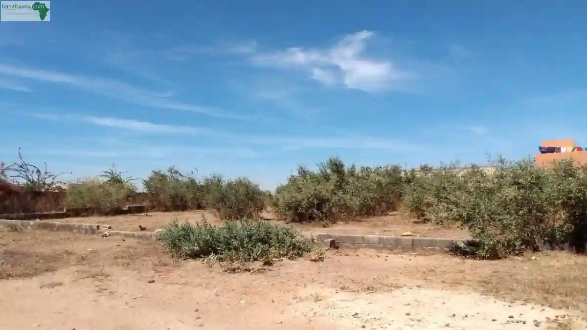 Terrains de 300 Mètres Carrés à Vendre à - Vue 3