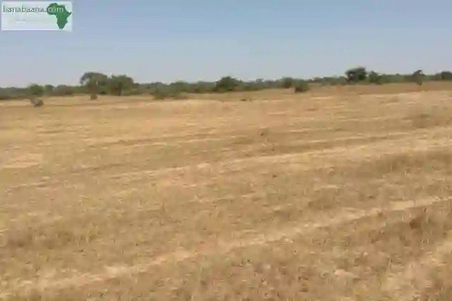 Terrain de 57 Hectares Vers Keur Samba Kane0