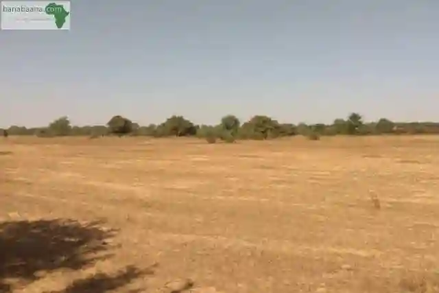 Terrain de 57 Hectares Vers Keur Samba Kane - Vue 1