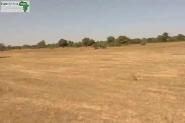 Terrain de 57 Hectares Vers Keur Samba Kane - Vue 2