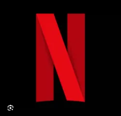 Netflix 1an