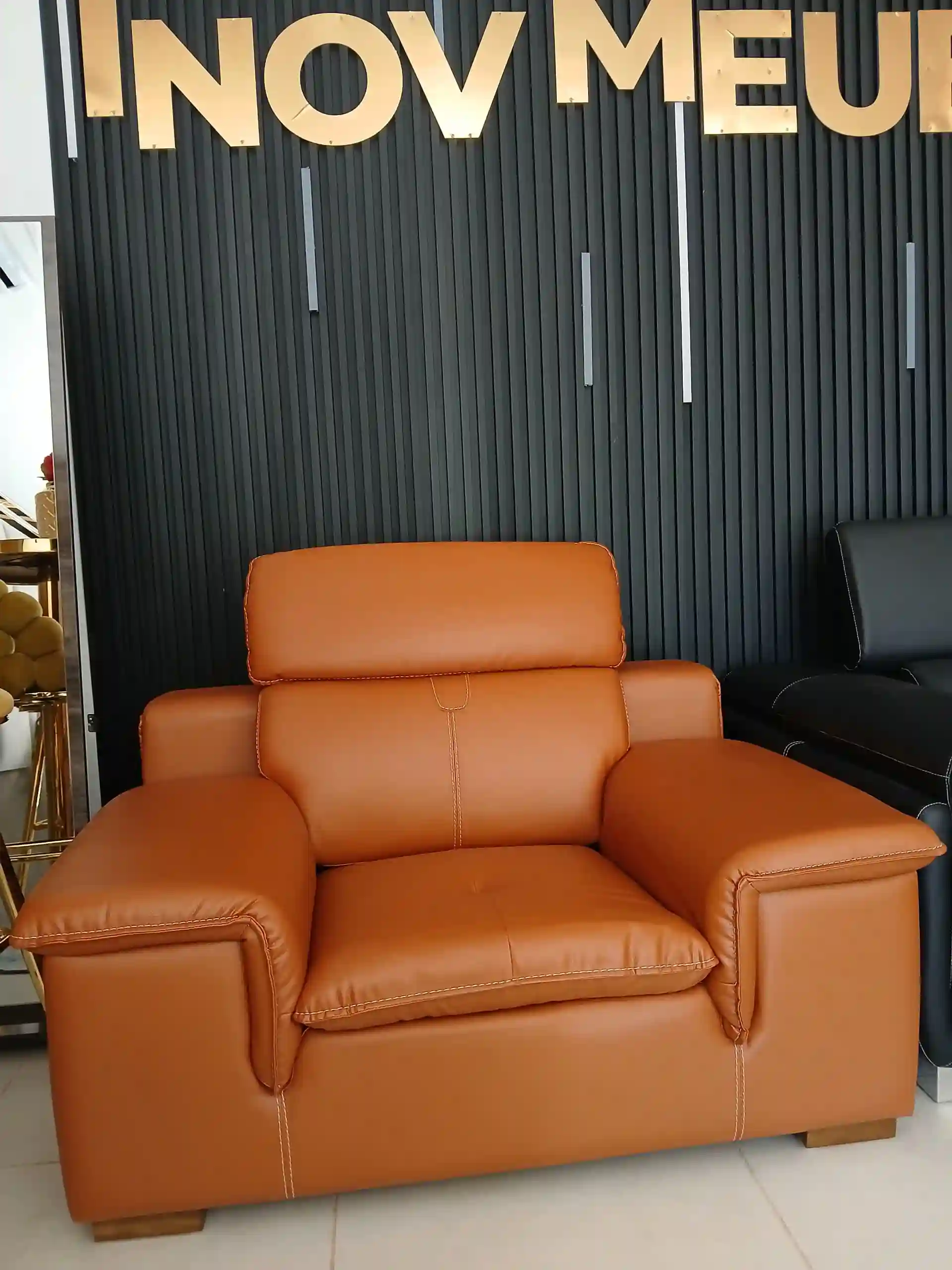 Salons en Croute Cuir - Vue 2
