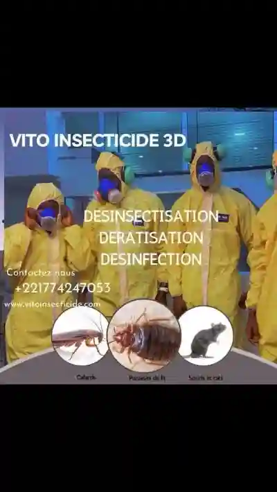 Désinsectisation Express - Vue 3
