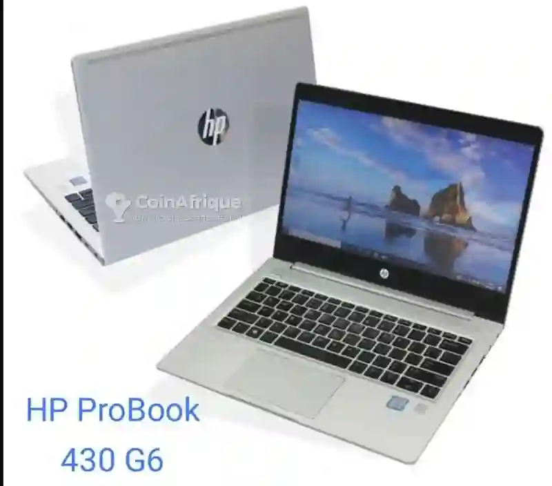 ✅ hp Probook- i5 8éme Gen- 256go ssd0