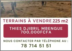 Vente DE Terrain