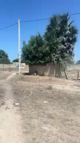 Terrain de 600 Mètres Carrés à Vendre à Saly Sénégal - Vue 1