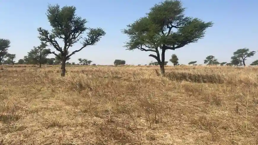 Terrains de 300 Mètres Carrés à Vendre à Malicounda Sénégal - Vue 2
