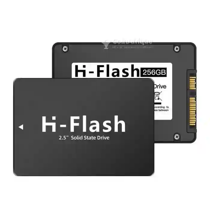 Disque dur SSD - 256gb0