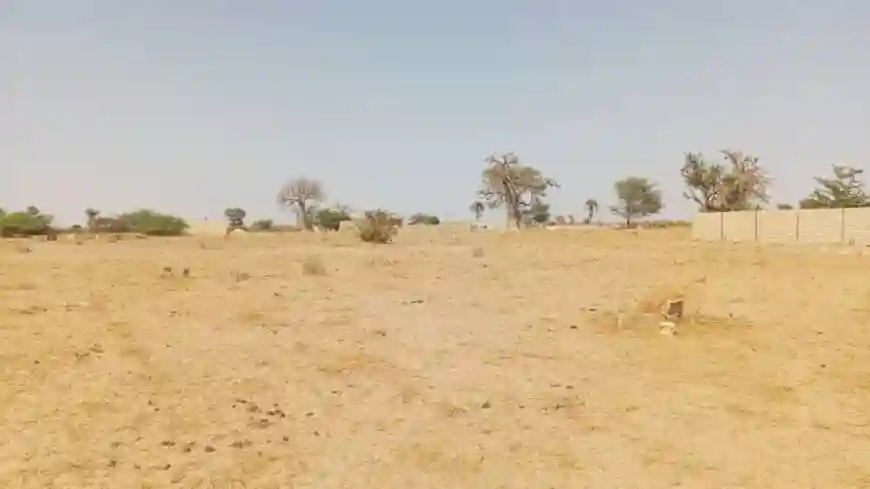 Terrain de 300 Mètres Carrés à Vendre à Malicounda Sénégal - Vue 2