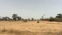Terrains 225 Mètres Carrés à Vendre à Malicoun à Mbour