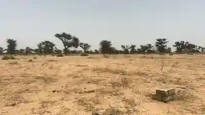 Terrains 225 Mètres Carrés à Vendre à Malicoun à Mbour - Vue 1